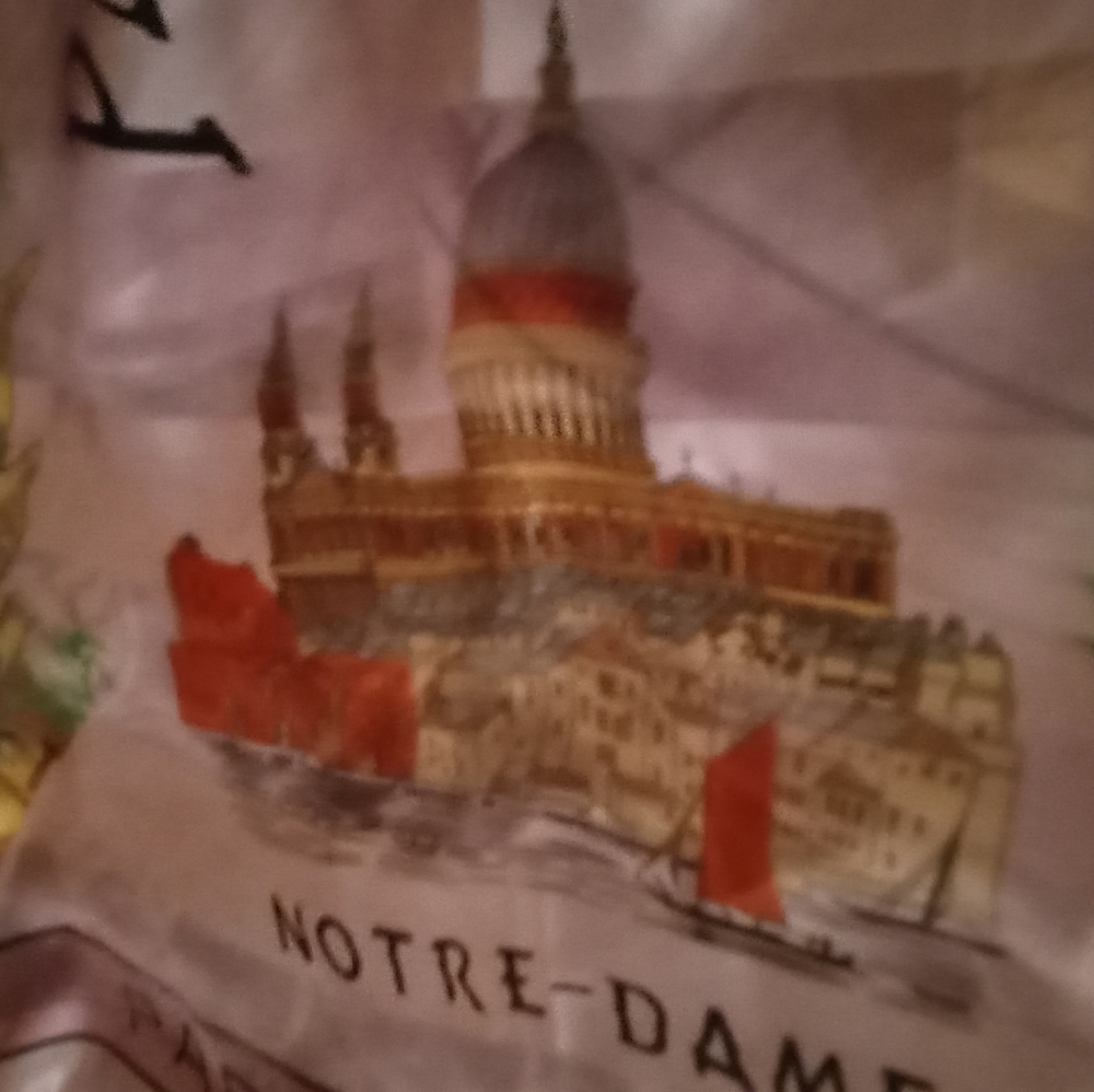 Paris Scarf Paris Graphics - image 4